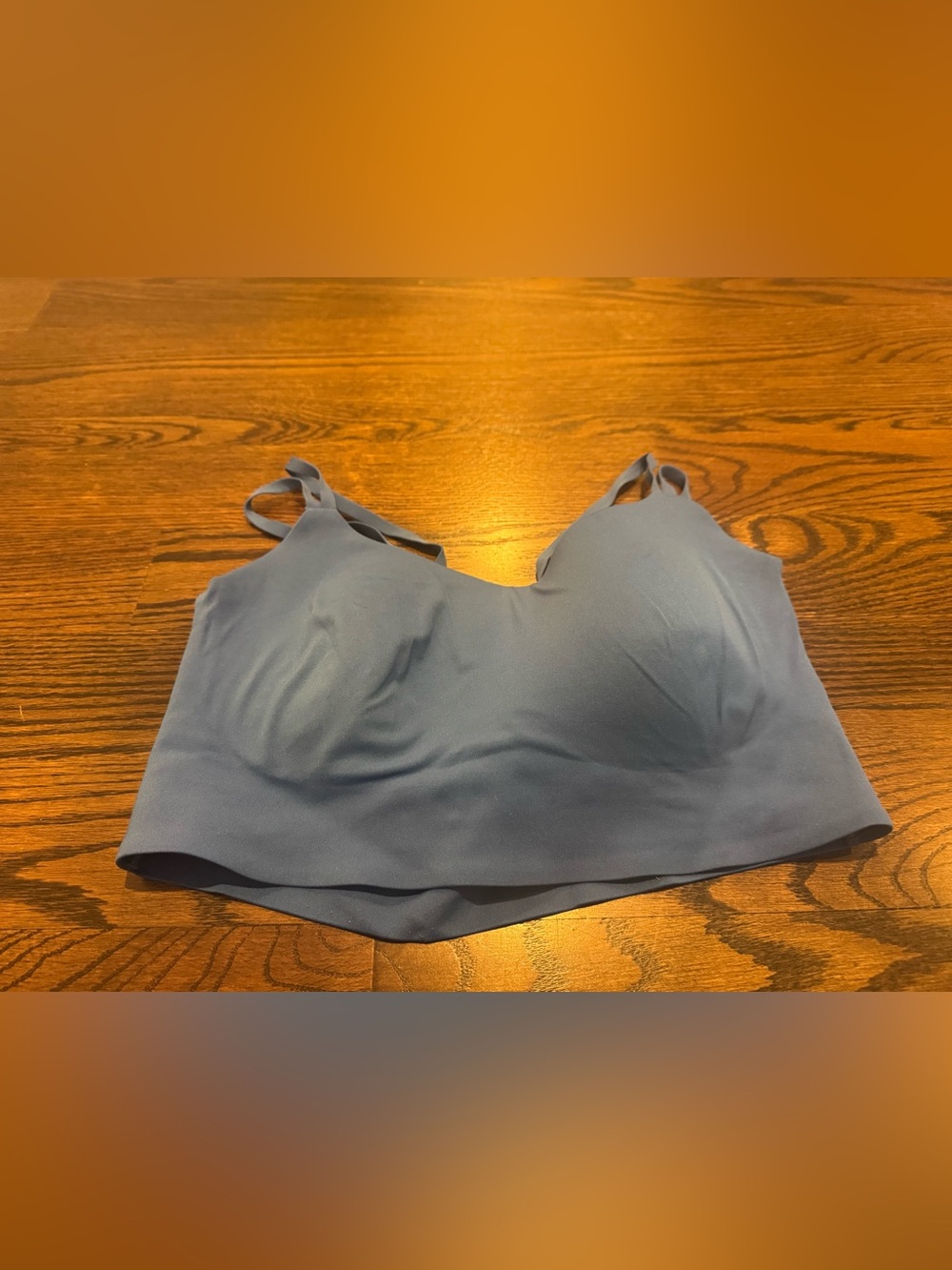 aerie Seamless Blue Bralette